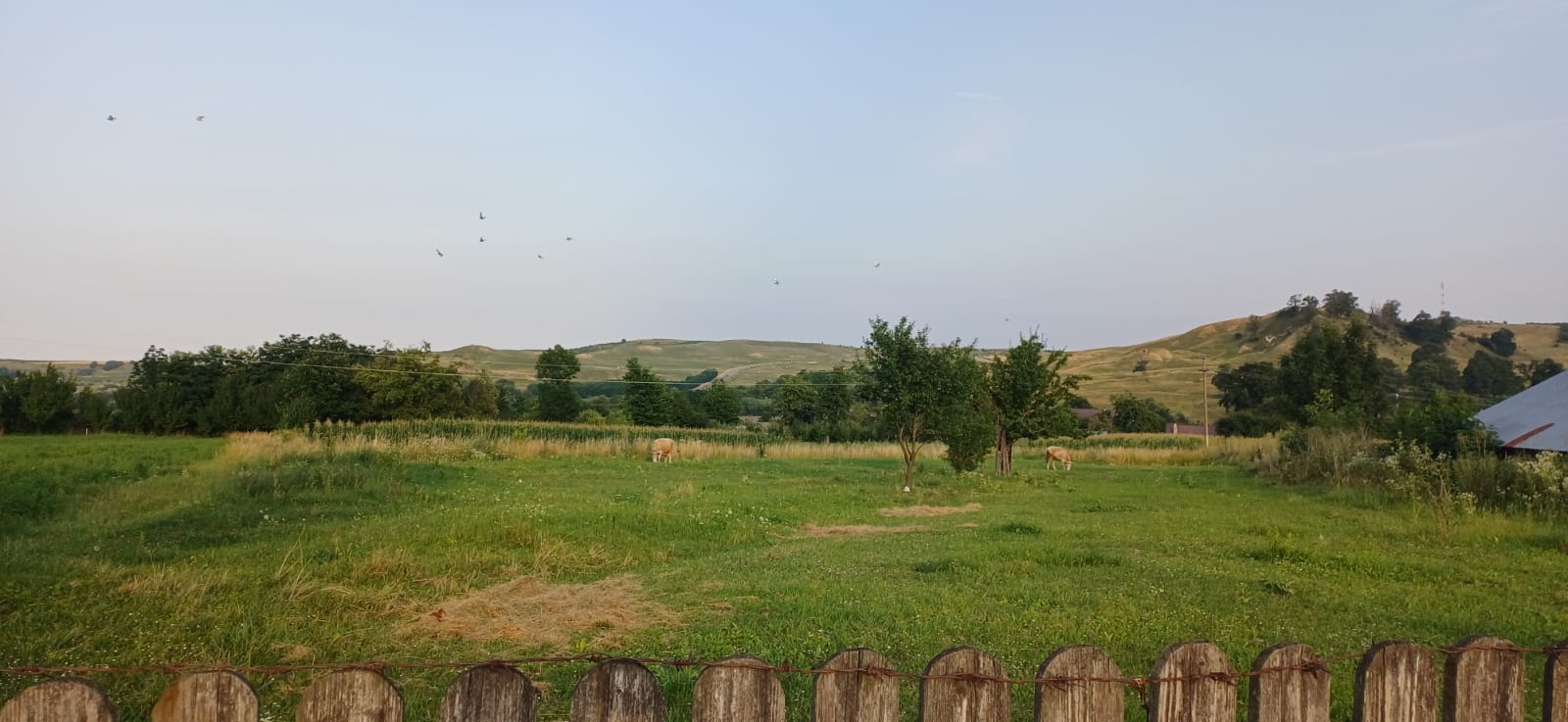 Teren Intravilan 30 Ari I Ilisesti/Suceava I 35.000Euro