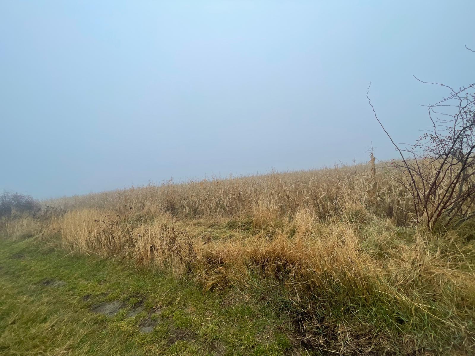 TEREN EXTRAVILAN | DOUA PARCELE 2.84 HA| IDEAL AGRICOL | DARMANESTI