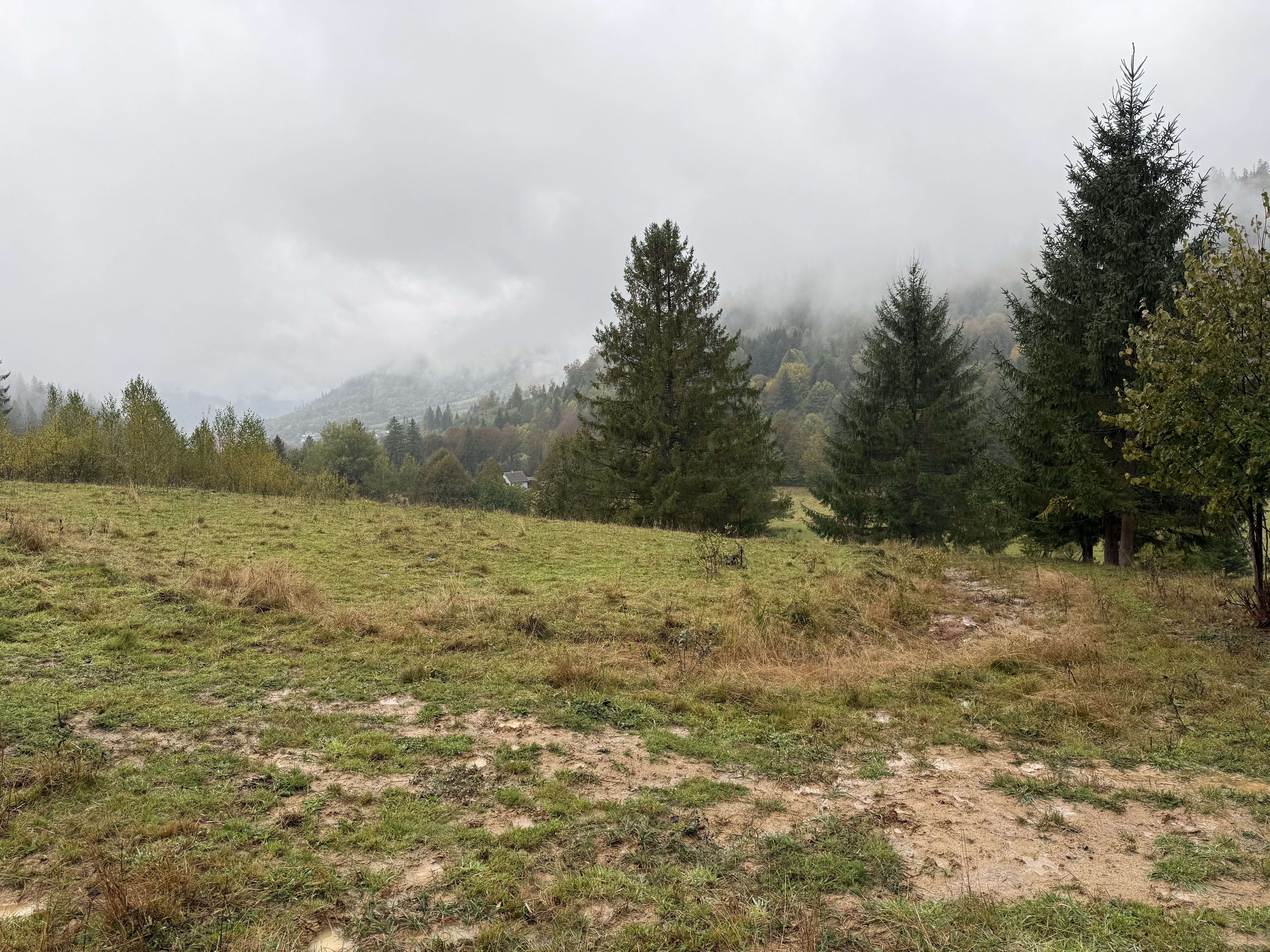 Teren Extravilan | 6.100 mp | Brodina | 41.500 € negociabil
