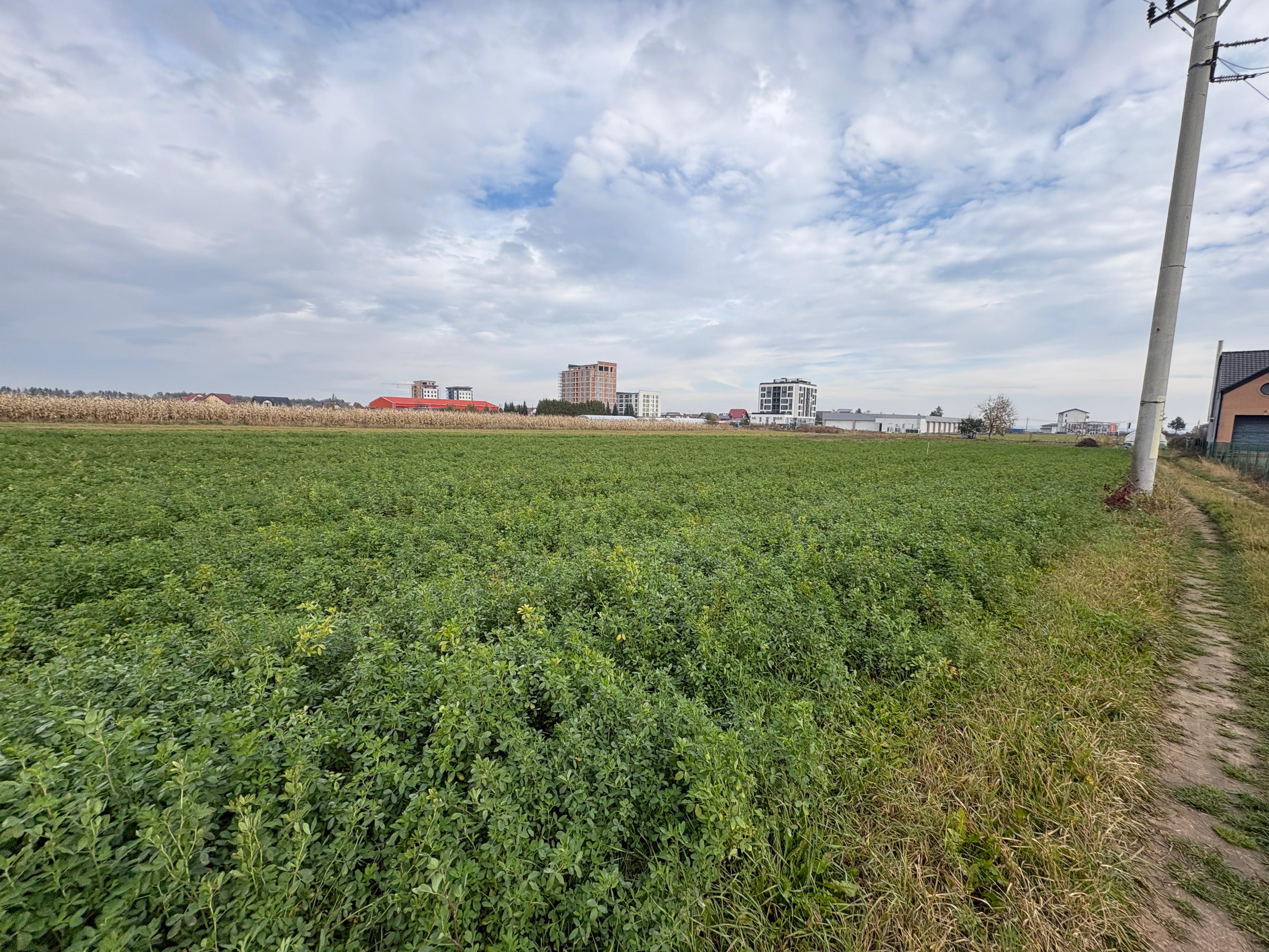 Teren de vânzare | 67 ari | Intravilan | Rădăuți