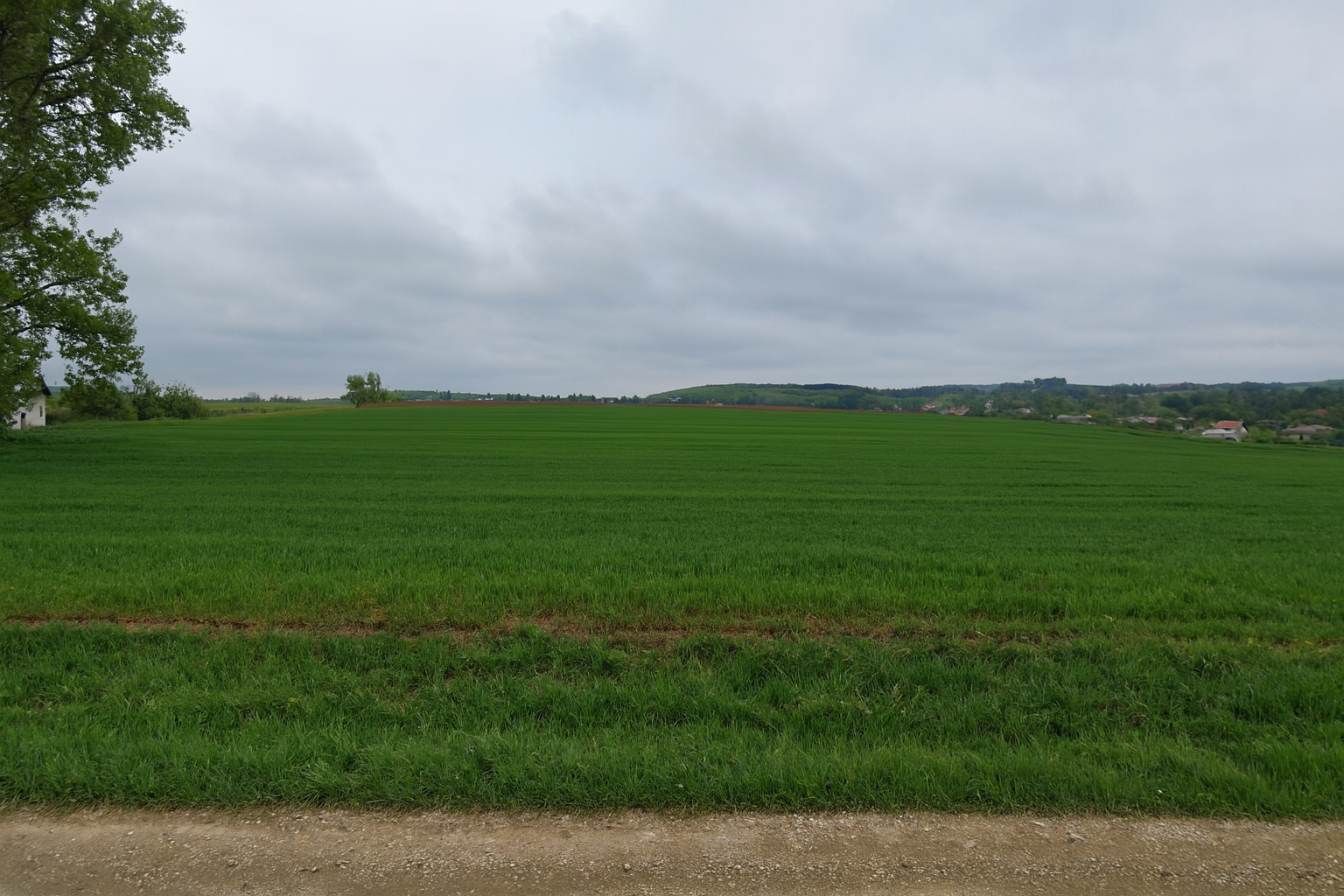 Teren intravilan 3.931 mp | Iacobești | Investiție excelentă