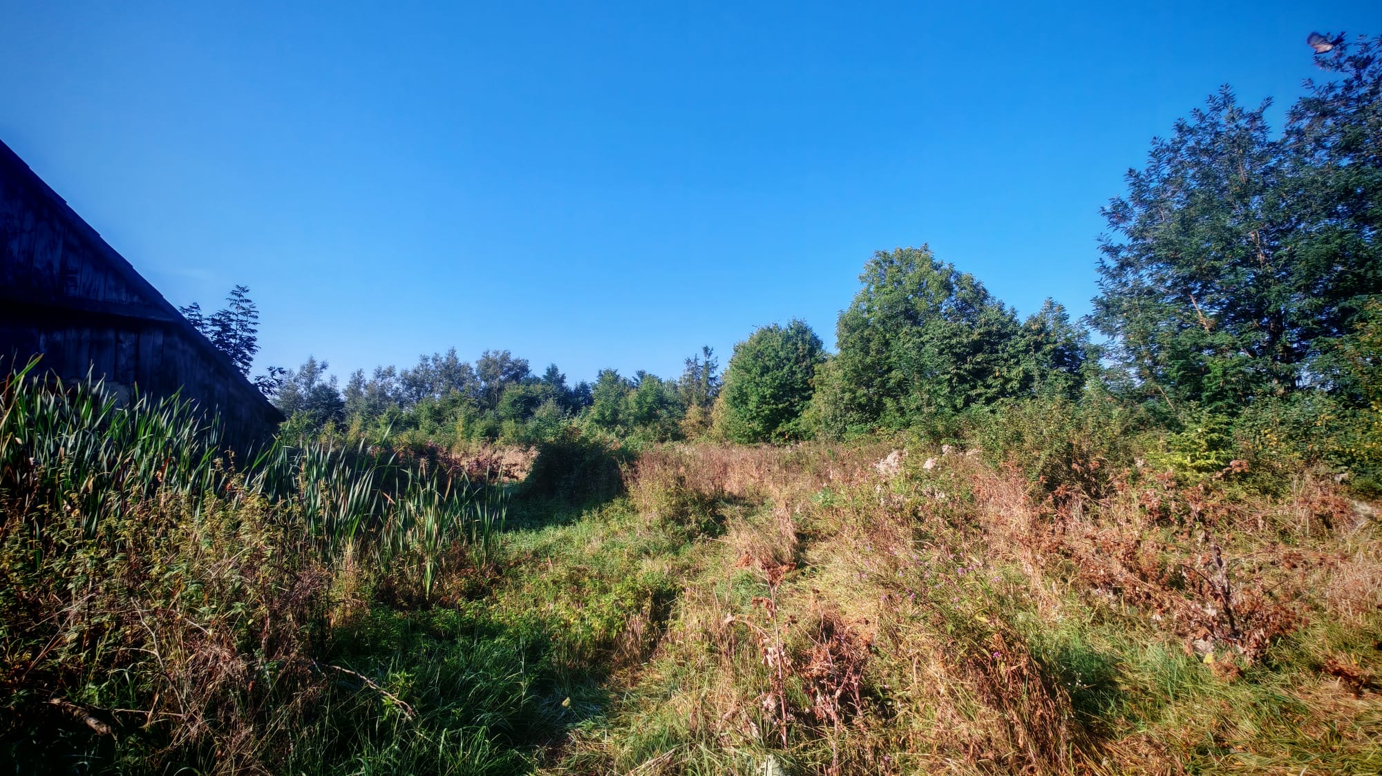 TEREN INTRAVILAN | FRATĂUȚII NOI | 1.1 HA