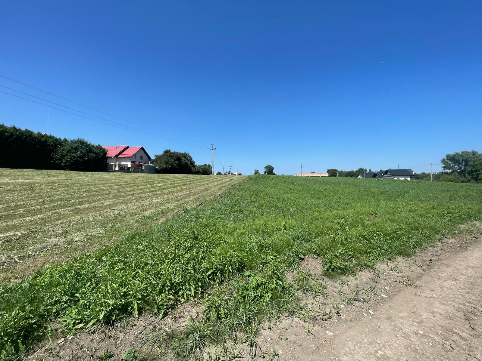 Teren Intravilan 2.462 mp – Ideal pentru Construcție sau Investiție