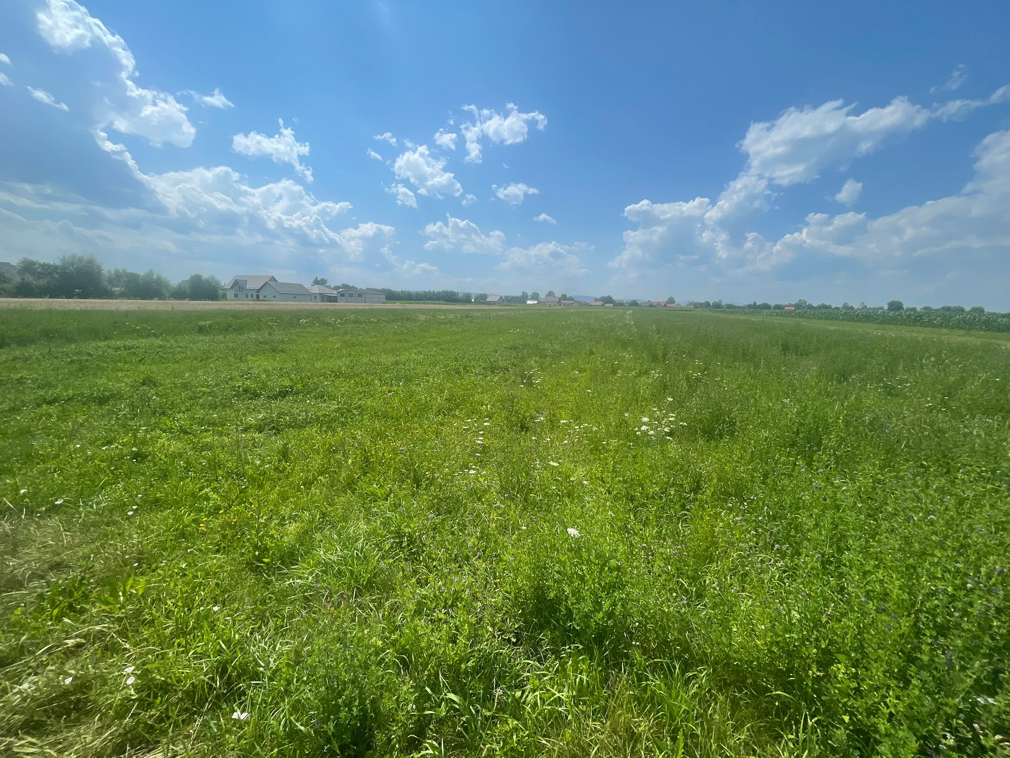 Teren intravilan | 3770 MP | Suceava, Frătăuții Vechi