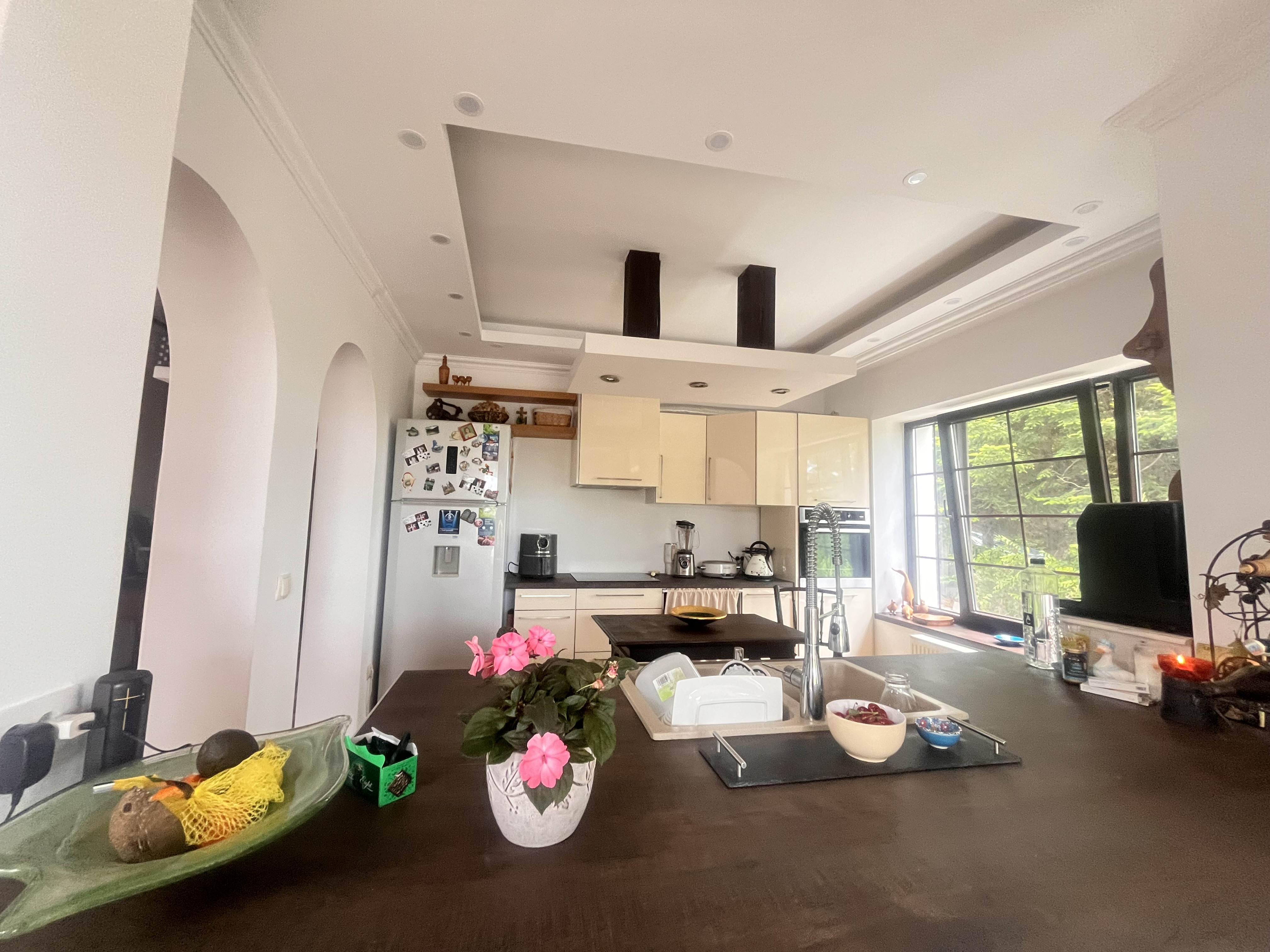 Casa tip Vila 330Mpu I 1000Mpt I Moara Nica/Suceava I 325.000Euro