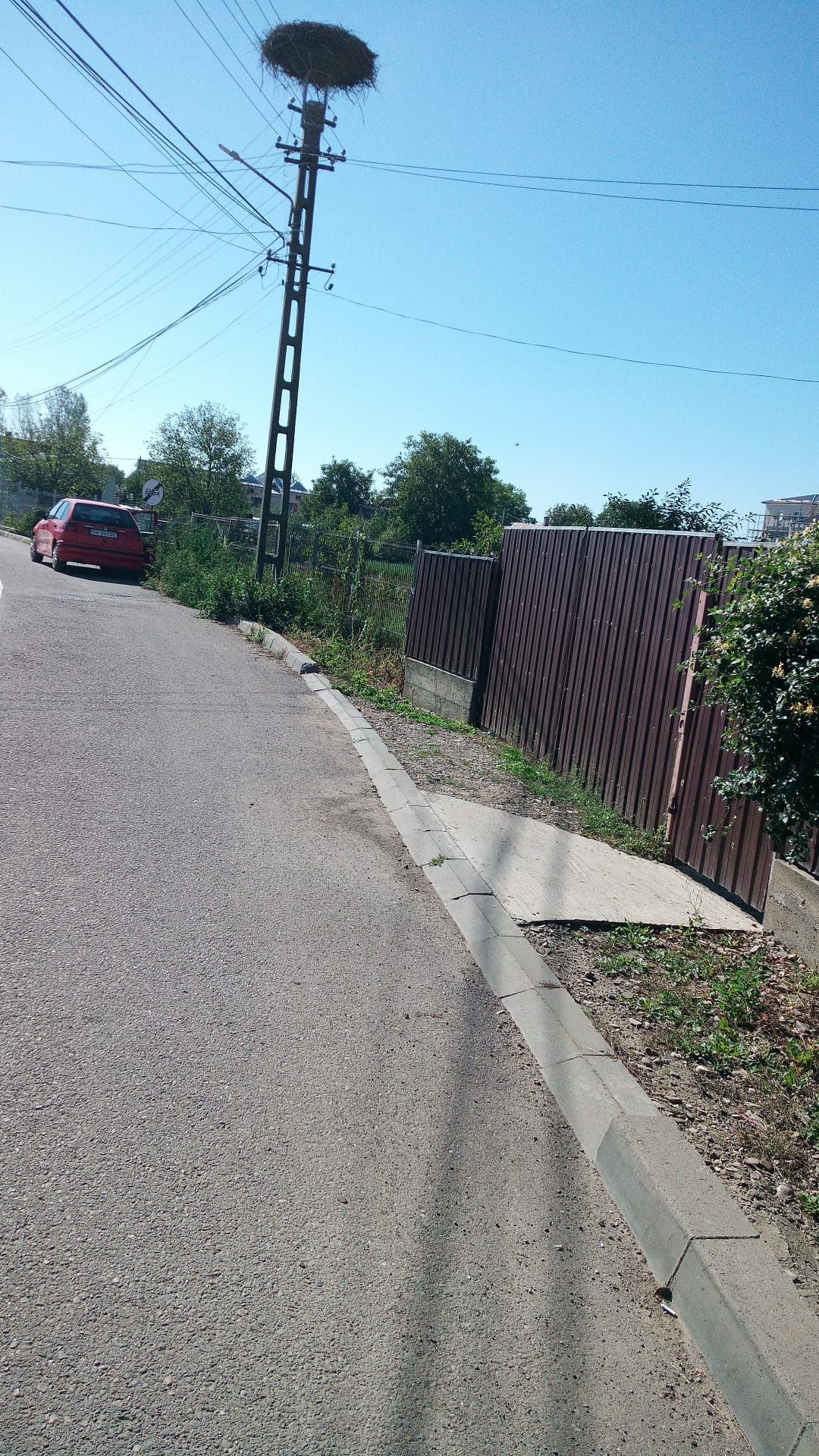 Teren 8 ari , Radauti