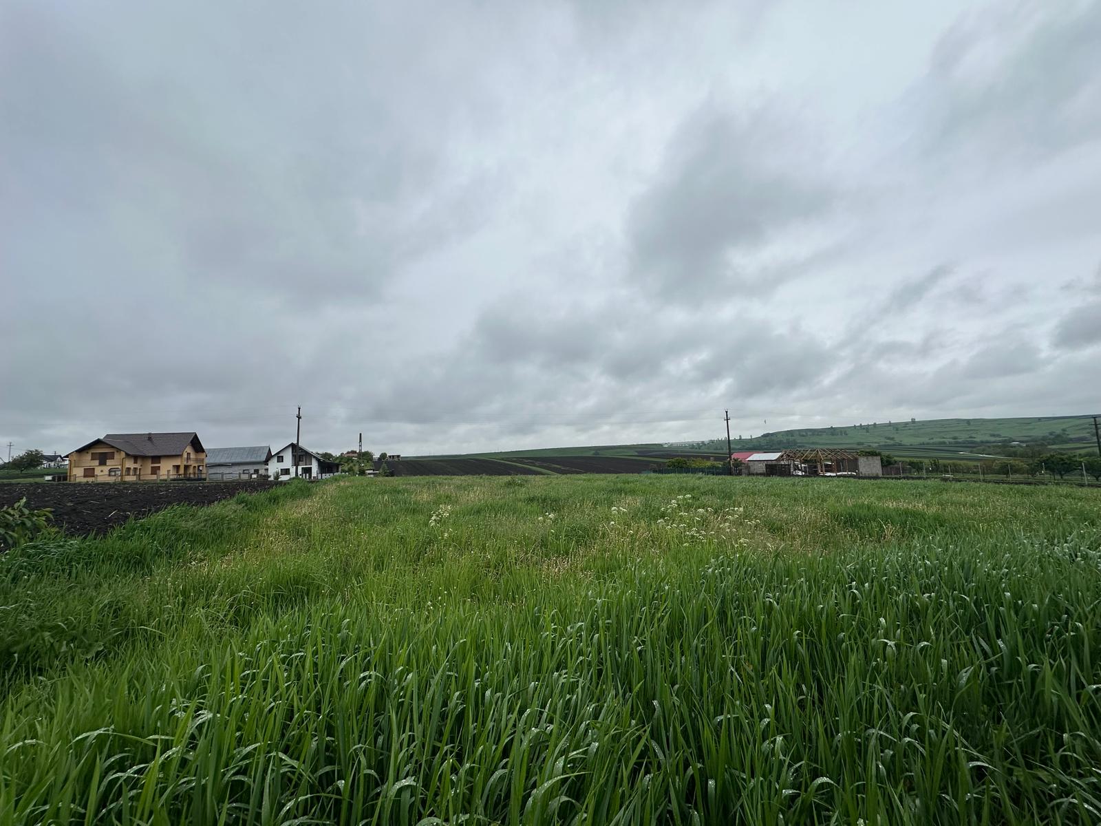 Teren Intravilan de Vanzare | Moara Carp, Suceava | Pret: 95.000€