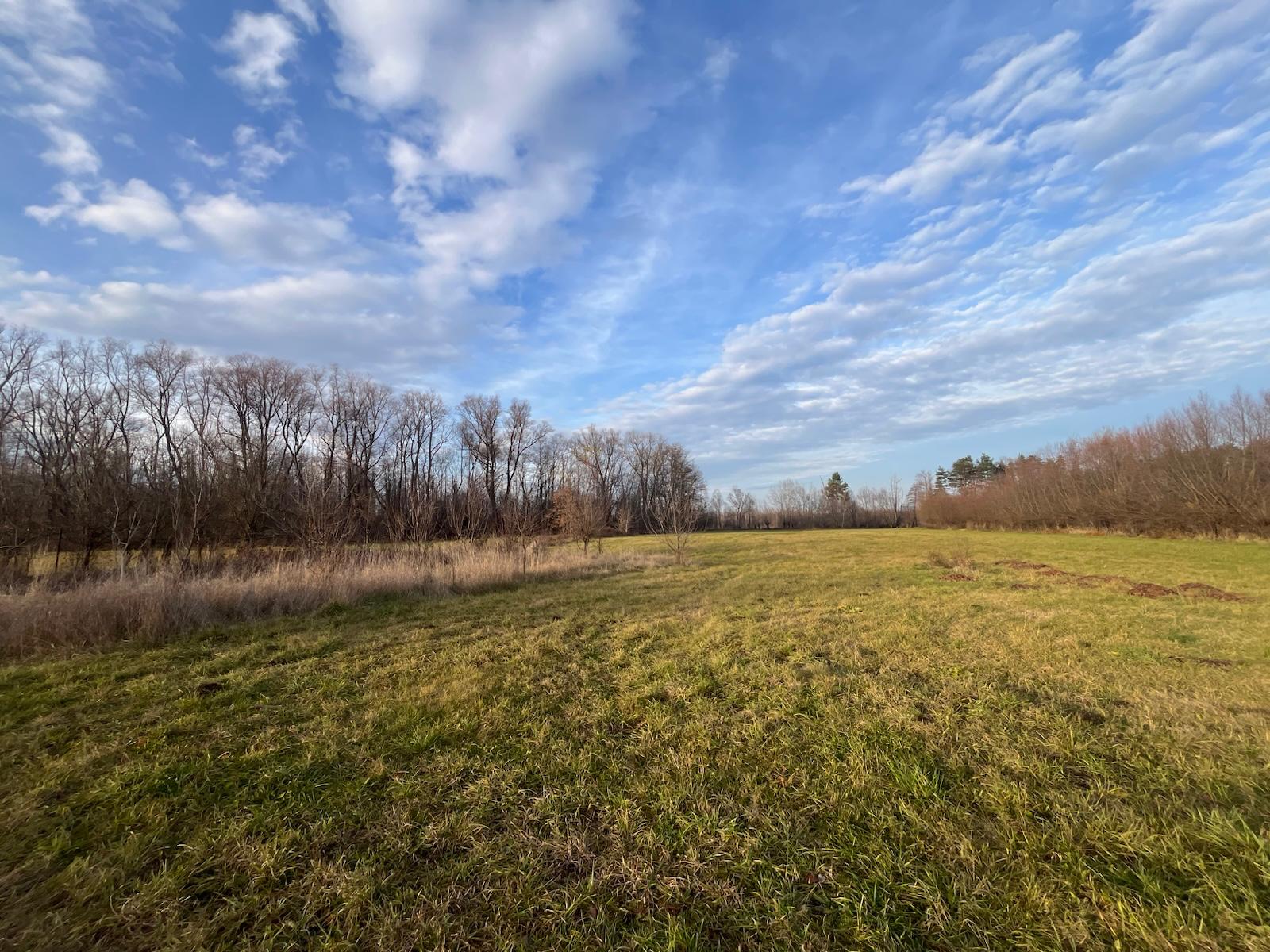 TEREN INTRAVILAN | 72 ARI | GALANESTI