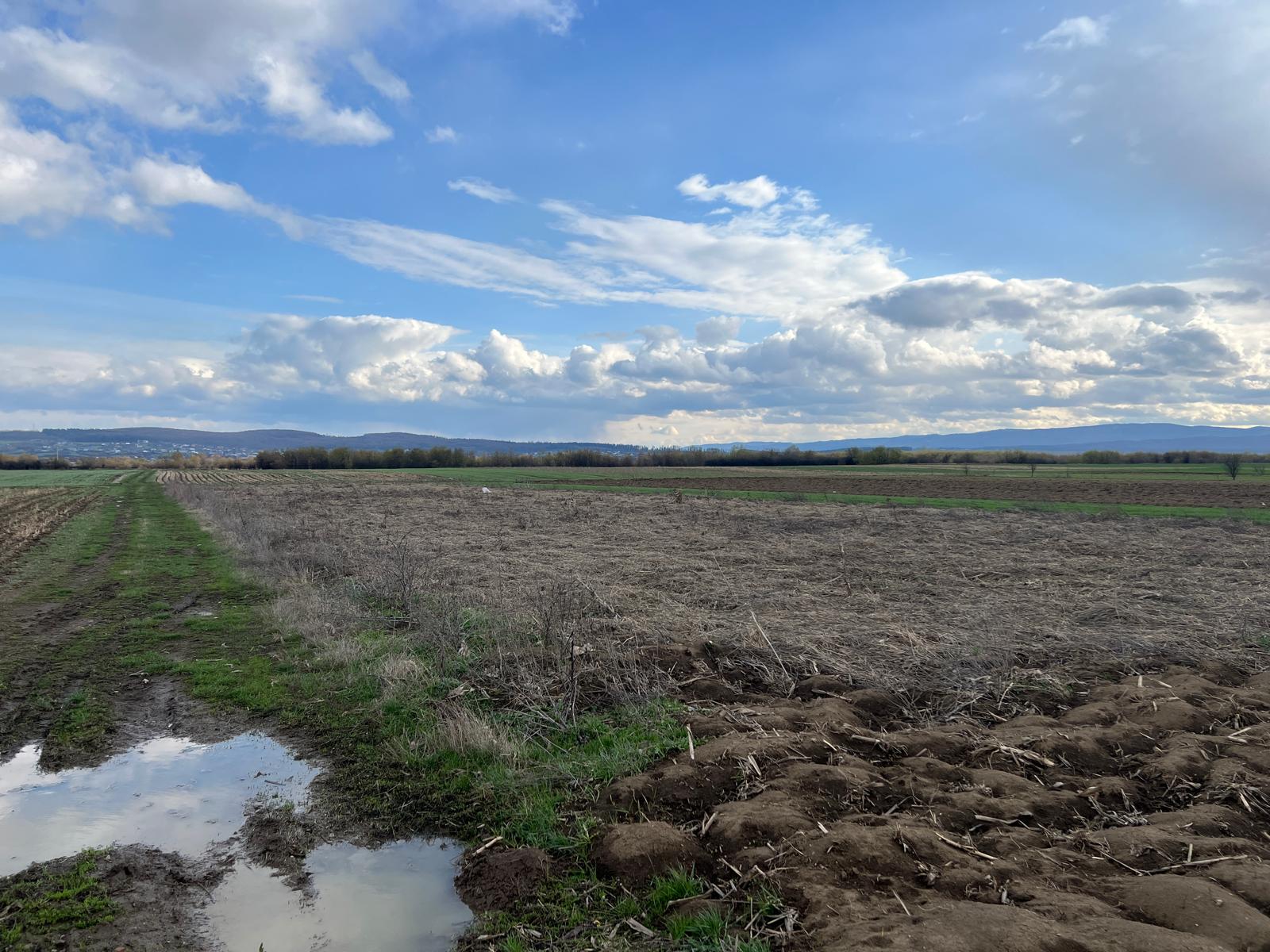 Teren Extralian | 50 de Ari | Horodnic de Sus