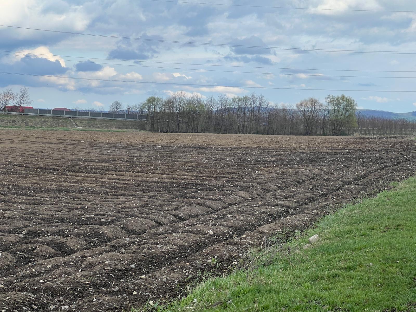 Teren Extravilan | 48 Ari