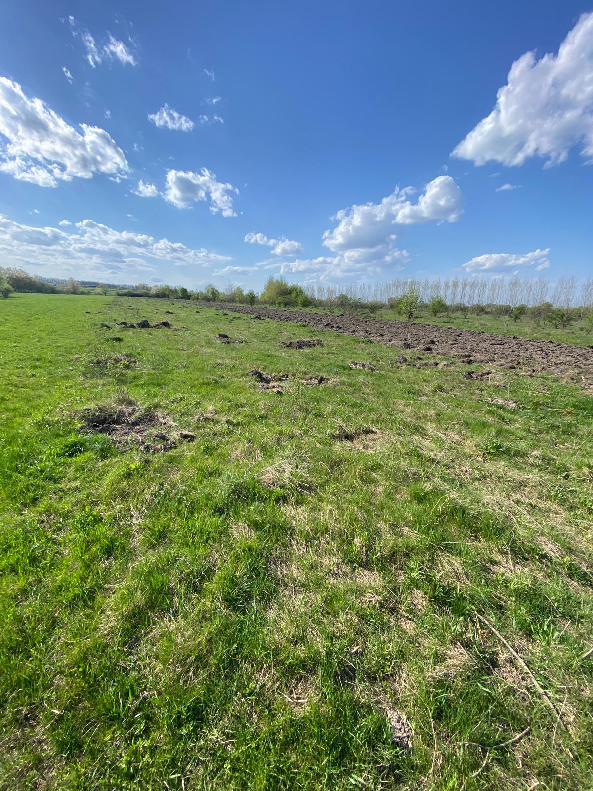 18 Ari | Horodnic de Sus | 500euro Ar