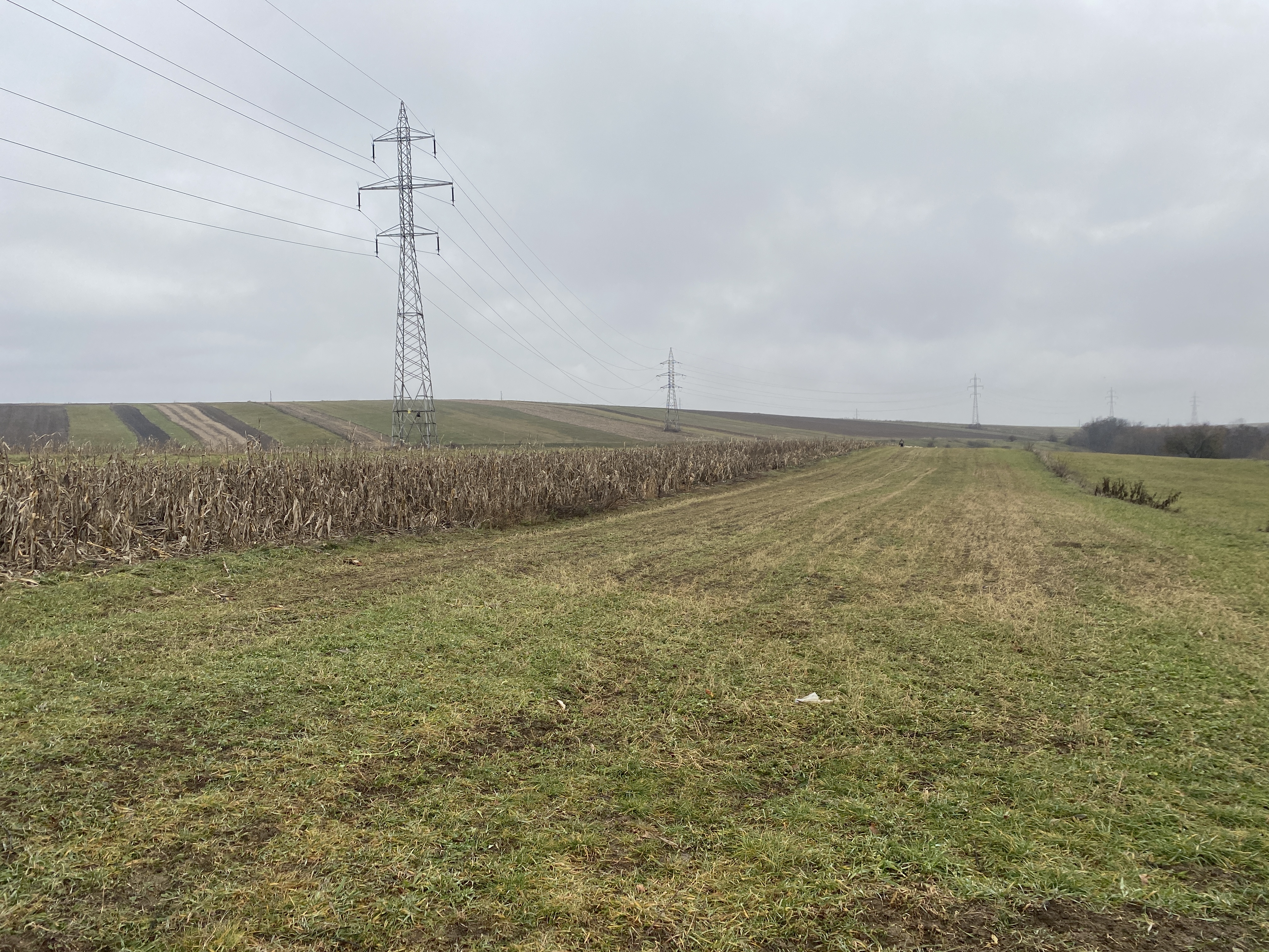 Teren Burdujeni | Zona Tarinca | 41 Ari