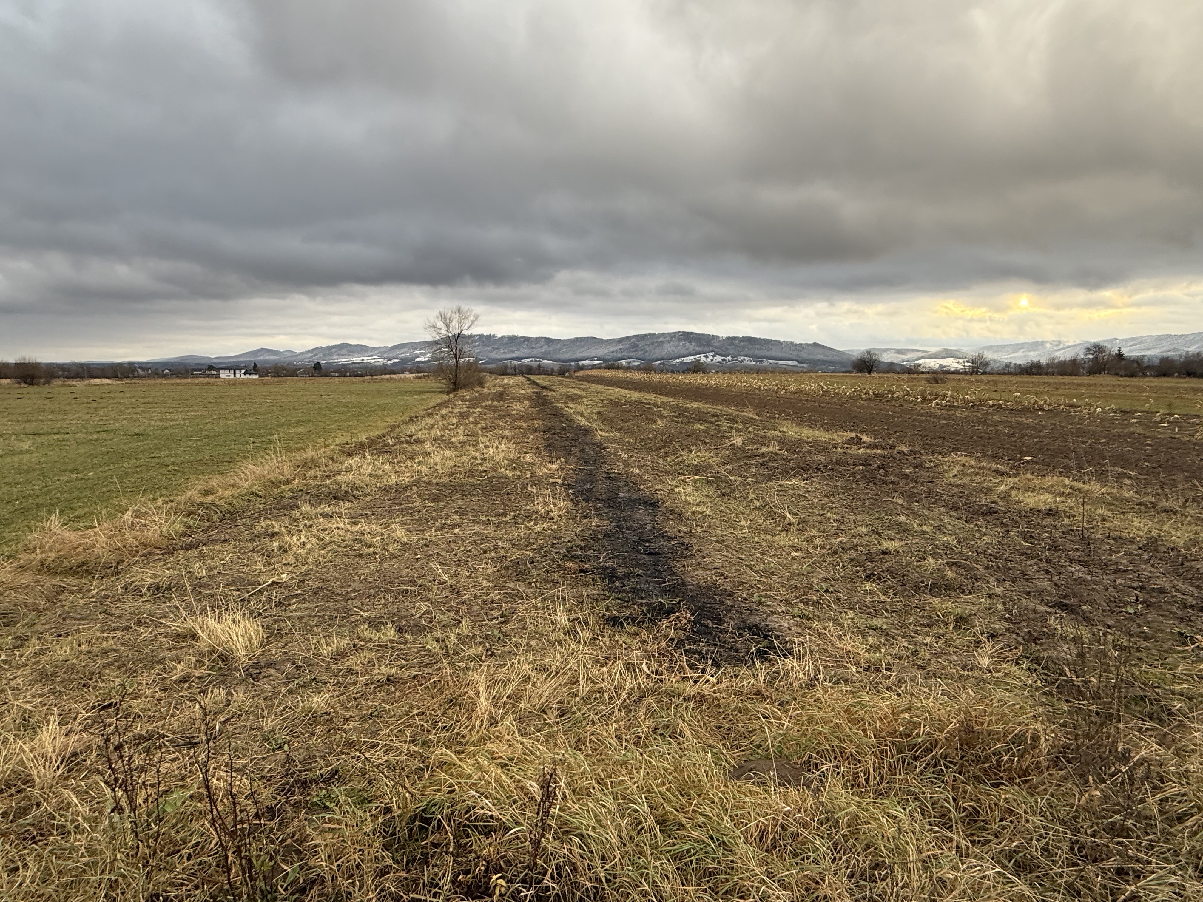 Teren 80 Ari | Vicovu de Sus – Bahna | Front 16.5