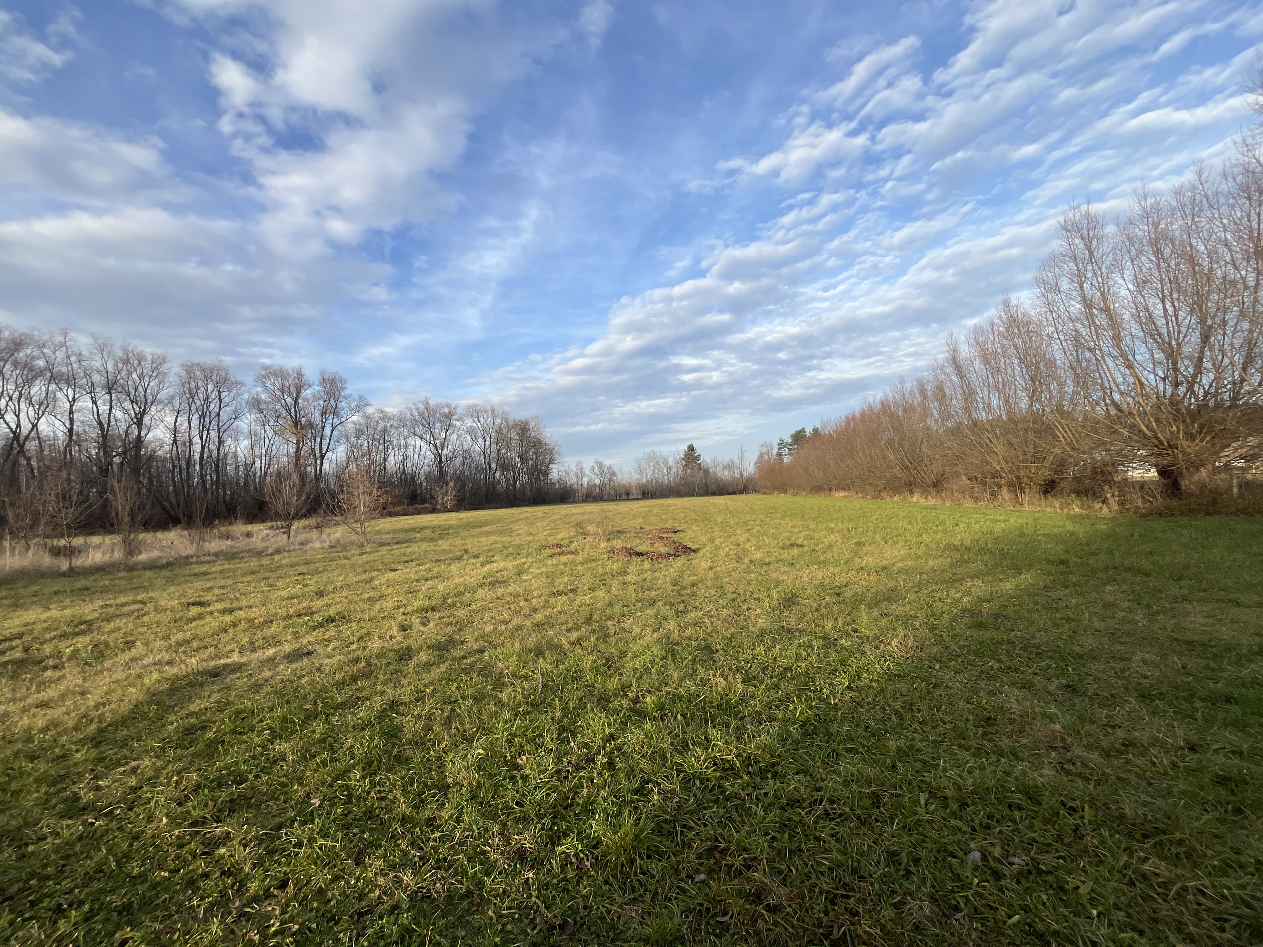 TEREN INTRAVILAN GENEROS | 72 ARI | GALANESTI